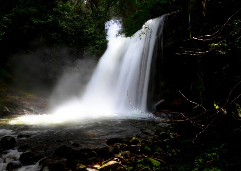 Large waterfall in a green forest